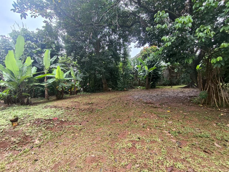 Tanah Dijual di Kemang