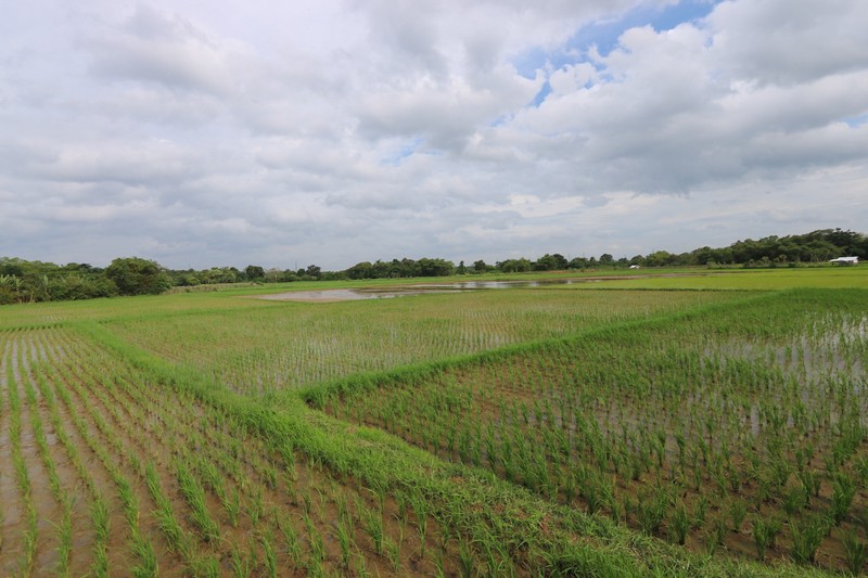 Tanah di Badak Anom, Sindang Jaya, akses ke Suvarna Sutera Cikupa
