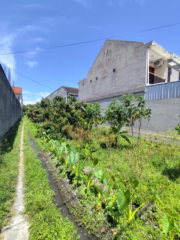 Dijual Tanah Pekarangan Luas 1.243 Meter Persegi di Tamantirto Hanya Selangkah ke Kampus UMY, Tamantirto, Kasihan, Bantul
