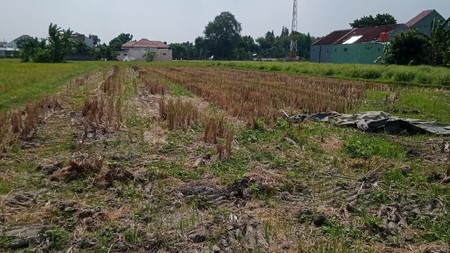  Dijual Tanah Strategis 1.537 Meter Persegi di Wirokerten Banguntapan Sangat Cocok untuk Perumahan