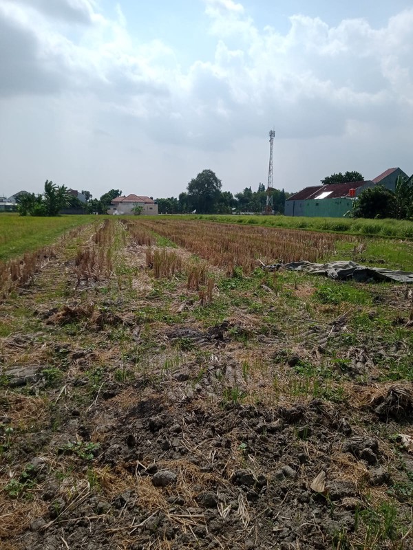  Dijual Tanah Strategis 1.537 Meter Persegi di Wirokerten Banguntapan Sangat Cocok untuk Perumahan