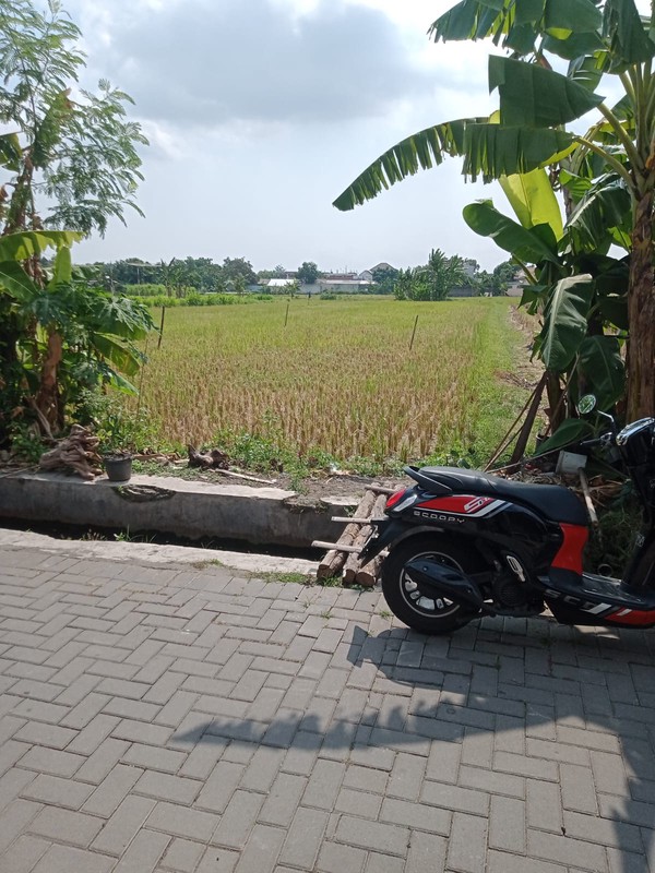  Dijual Tanah Strategis 1.537 Meter Persegi di Wirokerten Banguntapan Sangat Cocok untuk Perumahan