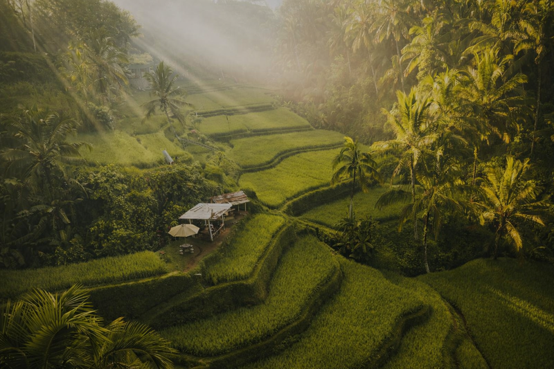 Comercial Leasehold Unit Villa In Tumbak Bayuh Canggu Bali