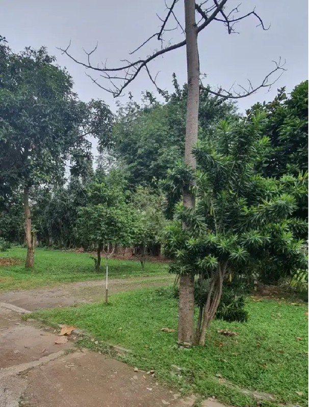 Dijual Kavling Siap Bangun dan Lokasi Strategis @Jakarta Selatan