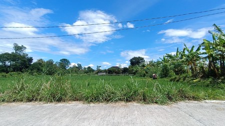 Tanah Sawah Strategis di Kebondalem Prambanan Potensi Agribisnis & Investasi Masa Depan di Madurejo, Prambanan, Sleman