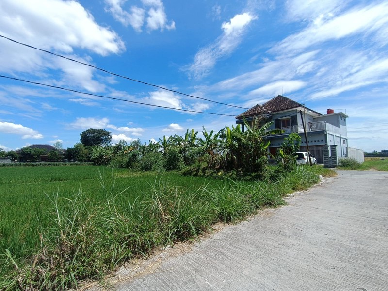 Tanah Sawah Strategis di Kebondalem Prambanan Potensi Agribisnis & Investasi Masa Depan di Madurejo, Prambanan, Sleman