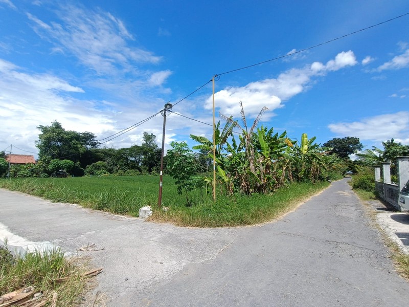 Tanah Sawah Strategis di Kebondalem Prambanan Potensi Agribisnis & Investasi Masa Depan di Madurejo, Prambanan, Sleman