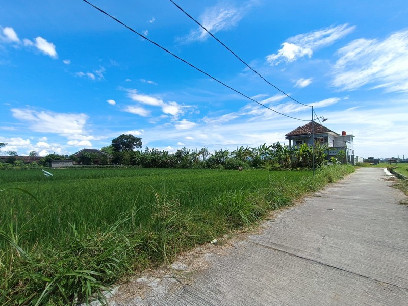 Tanah Sawah Strategis di Kebondalem Prambanan Potensi Agribisnis & Investasi Masa Depan di Madurejo, Prambanan, Sleman