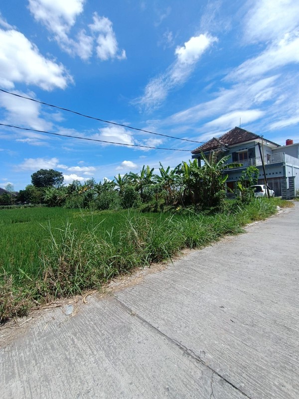 Tanah Sawah Strategis di Kebondalem Prambanan Potensi Agribisnis & Investasi Masa Depan di Madurejo, Prambanan, Sleman