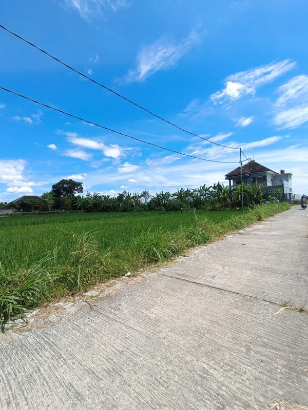 Tanah Sawah Strategis di Kebondalem Prambanan Potensi Agribisnis & Investasi Masa Depan di Madurejo, Prambanan, Sleman