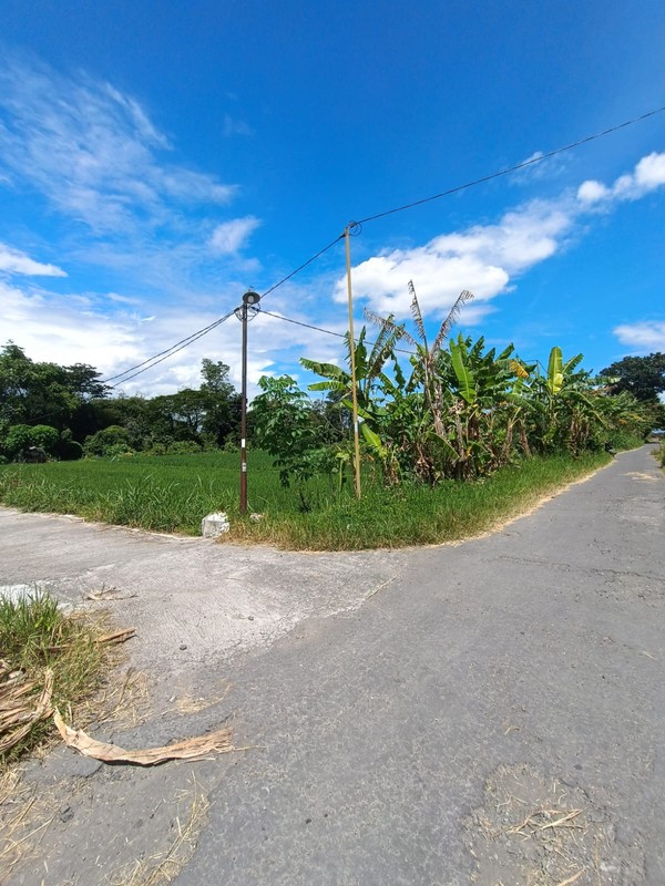 Tanah Sawah Strategis di Kebondalem Prambanan Potensi Agribisnis & Investasi Masa Depan di Madurejo, Prambanan, Sleman
