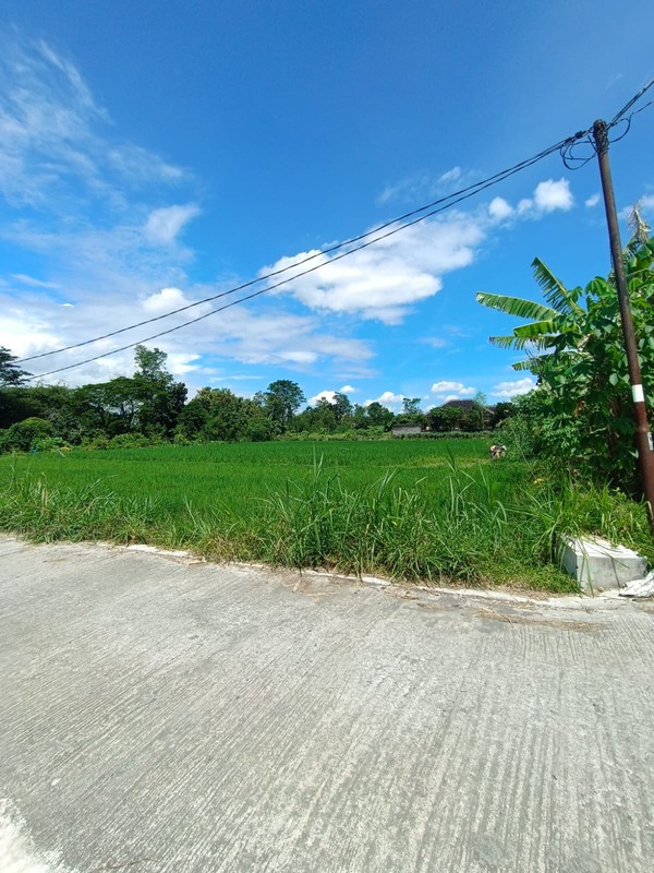 Tanah Sawah Strategis di Kebondalem Prambanan Potensi Agribisnis & Investasi Masa Depan di Madurejo, Prambanan, Sleman