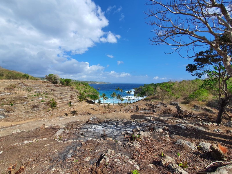 Freehold - High-Potential Beachfront Development Land in Nusa Ceningan