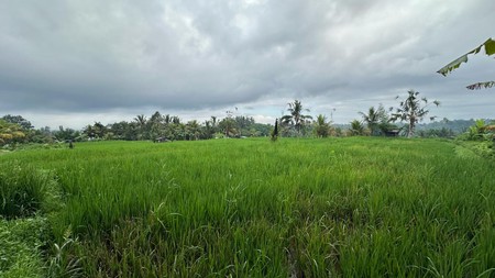 Prime Land in Tegalalang - Scenic Rice Fields & Mountain Views For Sale