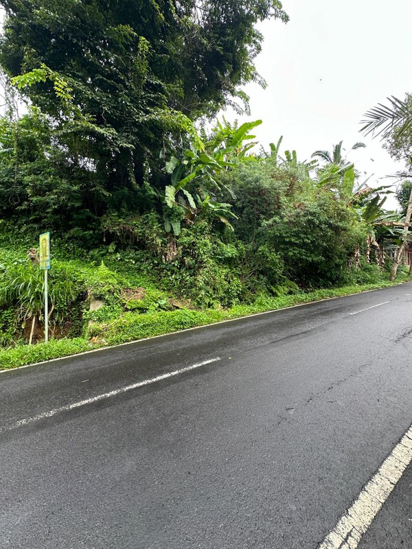 Prime Land in Tegalalang - Scenic Rice Fields & Mountain Views For Sale