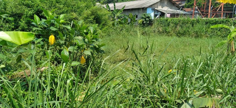 Dijual Tanah Kavling 800 m² Dekat Pasar Parung - SHM | Harga Murah, Cocok Usaha