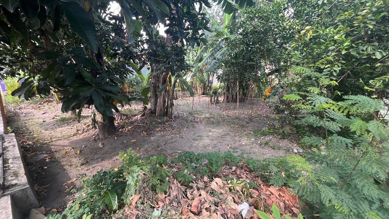 Tanah Premium 526 Meter Persegi di Sinduadi Mlati Lokasi Emas Dekat Jalan Magelang & Jogja City Mall, Sinduadi, Mlati, Sleman