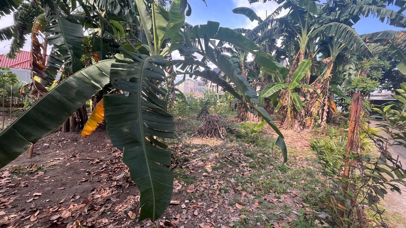 Tanah Premium 526 Meter Persegi di Sinduadi Mlati Lokasi Emas Dekat Jalan Magelang & Jogja City Mall, Sinduadi, Mlati, Sleman