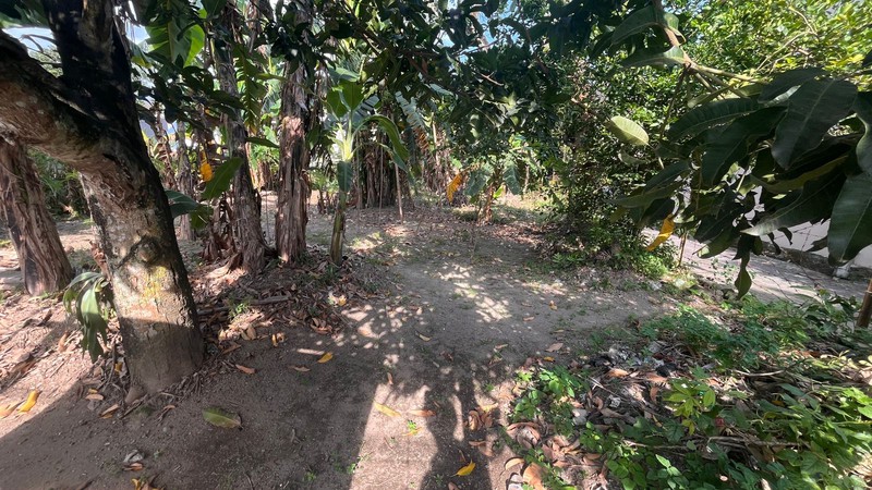 Tanah Premium 526 Meter Persegi di Sinduadi Mlati Lokasi Emas Dekat Jalan Magelang & Jogja City Mall, Sinduadi, Mlati, Sleman