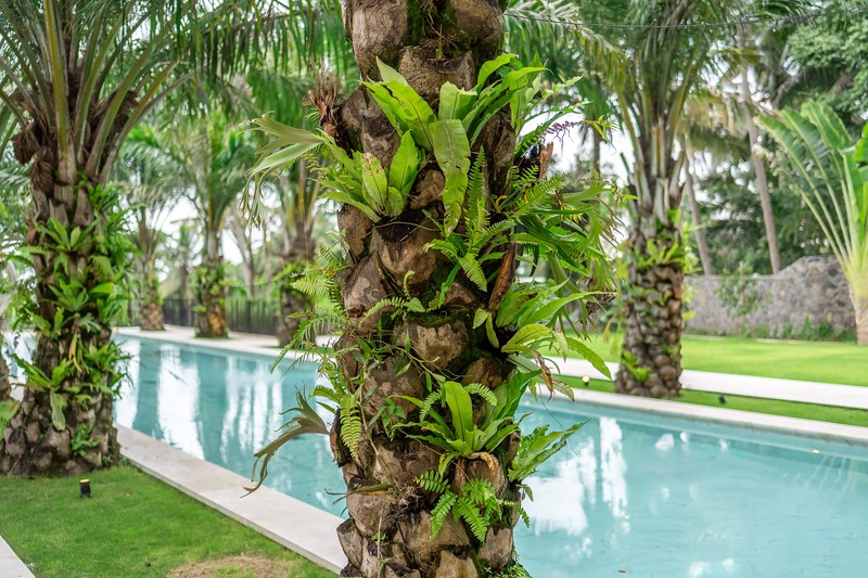 Premium Event Luxuriously Villa In Ubud Bali