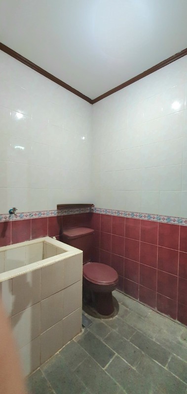 Rumah tua Pelepah Elok, Kelapa Gading