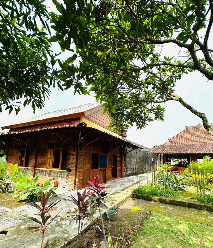 Rumah Halaman Luas Bergaya Joglo Jawa di Banjarnegoro, Magelang 