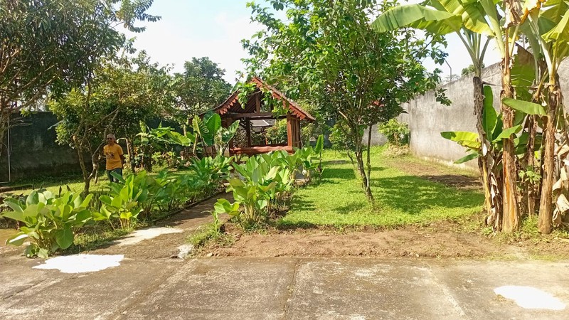 Rumah Halaman Luas Bergaya Joglo Jawa di Banjarnegoro, Magelang 