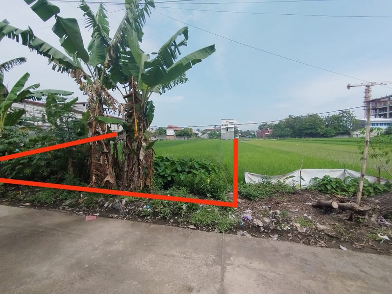 Tanah Sawah Lokasi Strategis di Daerah Kasihan Bantul 