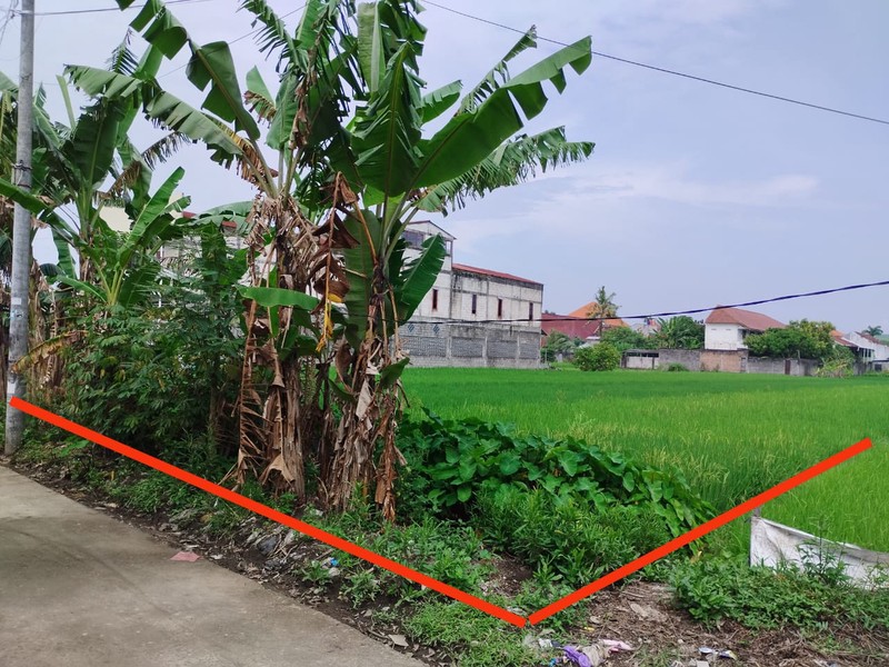 Tanah Sawah Lokasi Strategis di Daerah Kasihan Bantul 