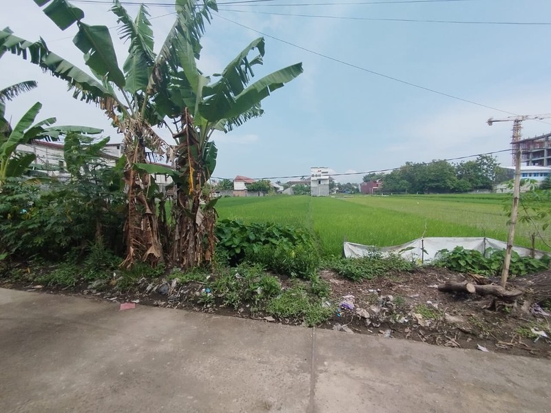 Tanah Sawah Lokasi Strategis di Daerah Kasihan Bantul 