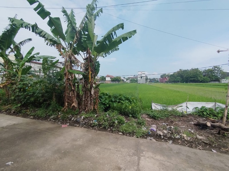 Tanah Sawah Lokasi Strategis di Daerah Kasihan Bantul 