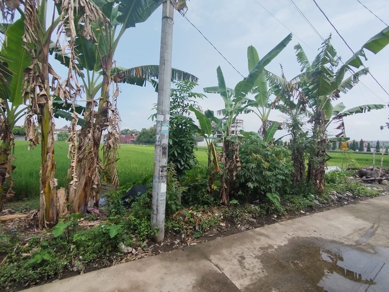 Tanah Sawah Lokasi Strategis di Daerah Kasihan Bantul 