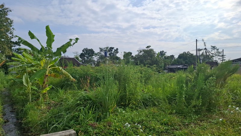 Tanah Luas 169 Meter Persegi Lokasi Strategis Dekat Kampus UII - Ngaglik Sleman 