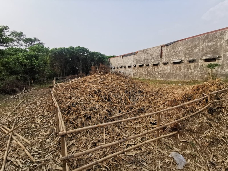 Tanah di Suradita Cisauk dekat perumahan Winston