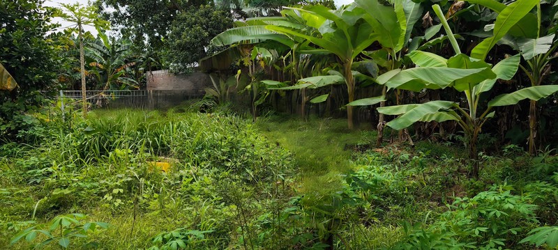 Tanah Kavling 500 m² Ciputat Tangsel - SHM, Dimensi Ideal 20x25, Harga Nego