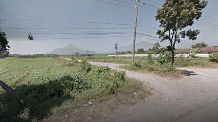 DISEWAKAN - TANAH KUTOREJO, PUNGGING, MOJOSARI, PACET, MOJOKERTO