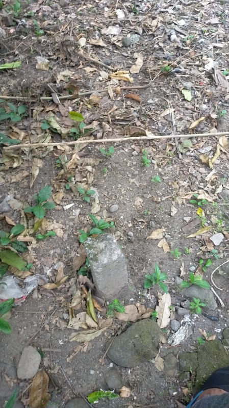 Tanah Kavling Siap Bangun di Wedomartani Sleman Lokasi Premium & Strategis, Investasi Masa Depan yang Menjanjikan