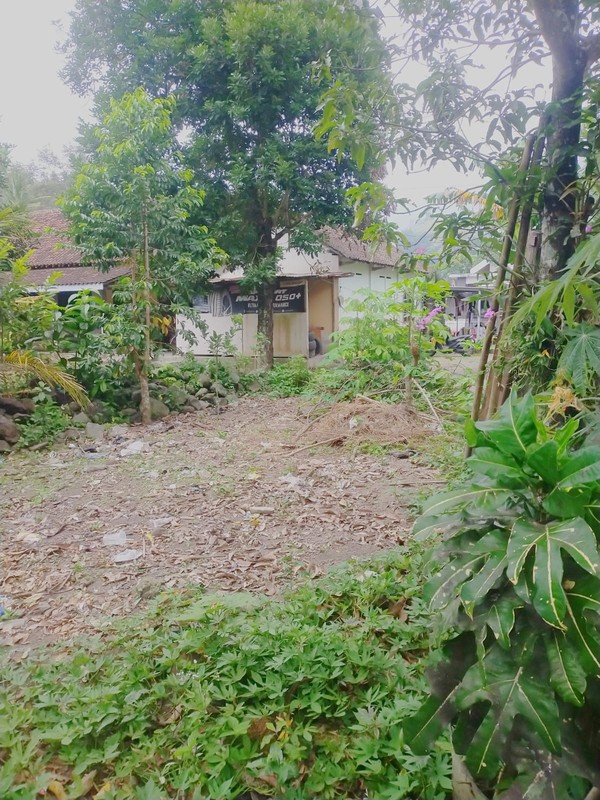 Tanah Kavling Siap Bangun di Wedomartani Sleman Lokasi Premium & Strategis, Investasi Masa Depan yang Menjanjikan