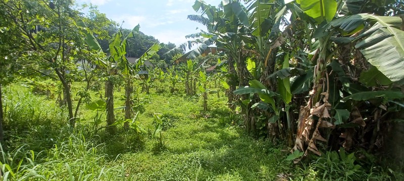 Dijual Tanah dengan lokasi Strategis di Ciherang Pondok, Caringin, Kabupaten Bogor