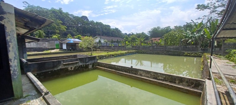 Dijual Tanah dengan lokasi Strategis di Ciherang Pondok, Caringin, Kabupaten Bogor