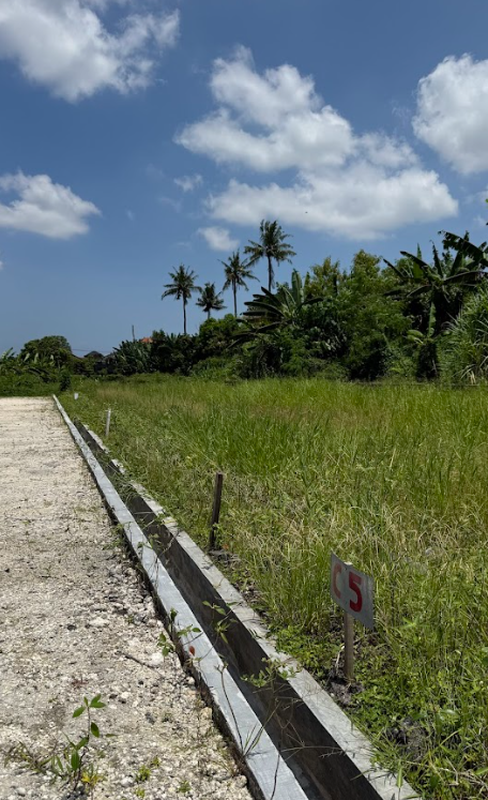 Land Leasehold In Great Location Buduk Canggu Bali