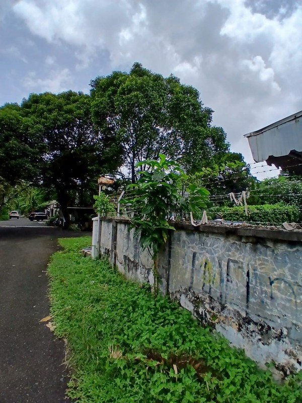 Dijual Hitung Tanah Dalam Kompleks Nyaman Lokasi Strategis Di Duren Tiga, Jakarta Selatan