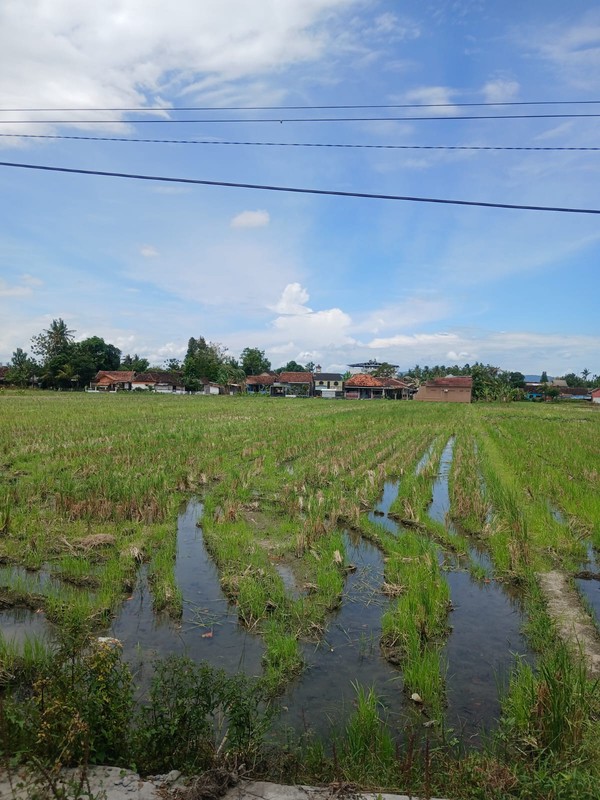 Tanah Strategis 2008 Meter Persegi di Jalan Brigjen Katamso Bantul Lokasi Premium & Akses Jalan Lebar
