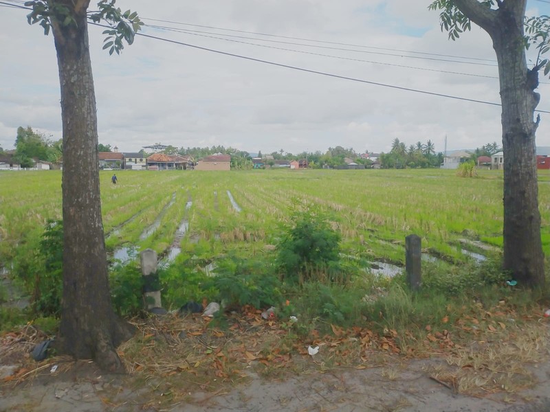 Tanah Strategis 2008 Meter Persegi di Jalan Brigjen Katamso Bantul Lokasi Premium & Akses Jalan Lebar