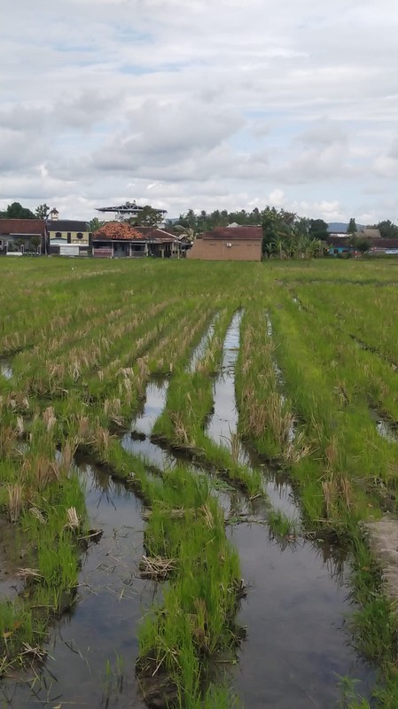 Tanah Strategis 2008 Meter Persegi di Jalan Brigjen Katamso Bantul Lokasi Premium & Akses Jalan Lebar