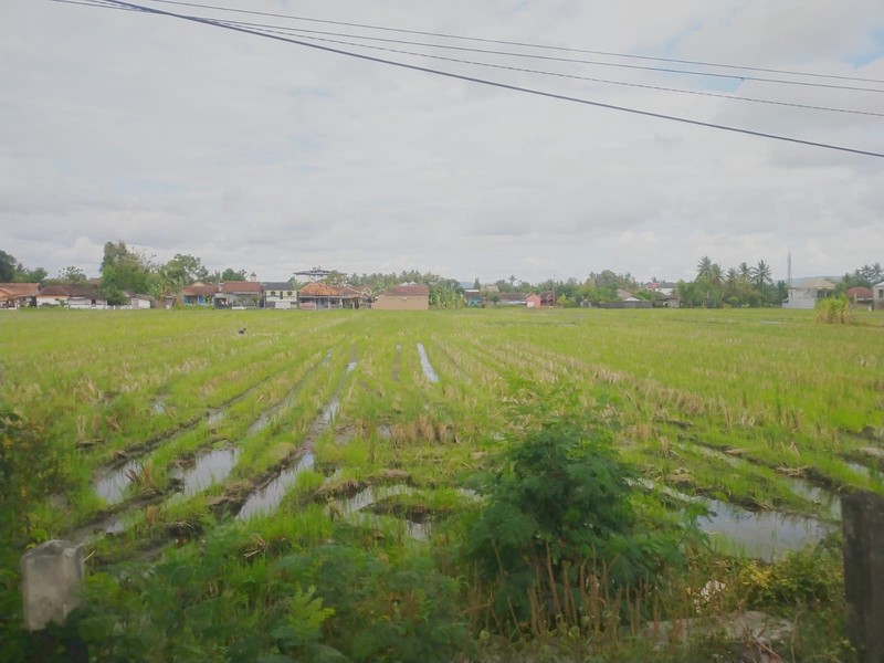 Tanah Strategis 2008 Meter Persegi di Jalan Brigjen Katamso Bantul Lokasi Premium & Akses Jalan Lebar