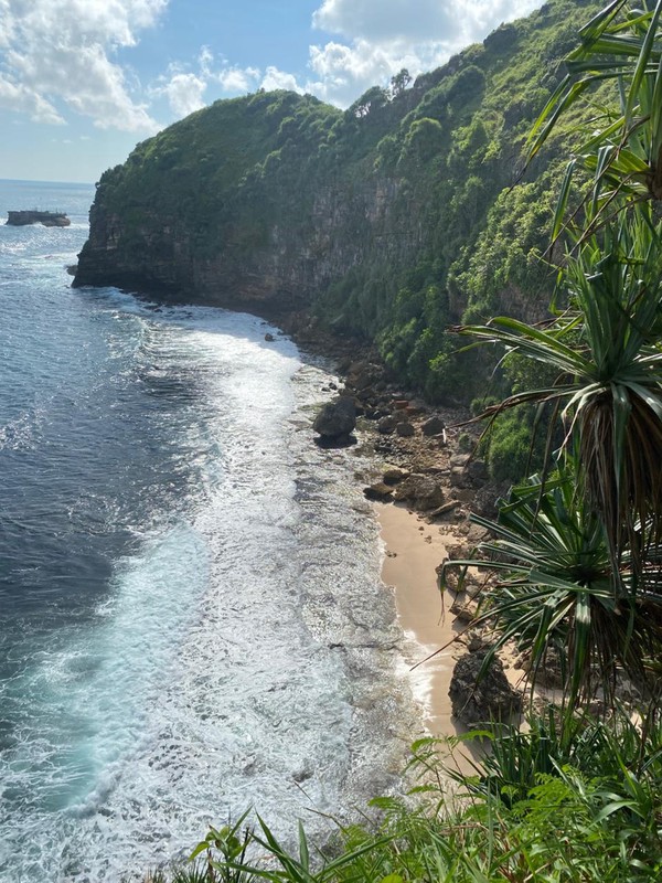 Dijual Tanah Tegalan Lokasi Strategis di Kawasan Wisata Tepus -  Gunung Kidul 