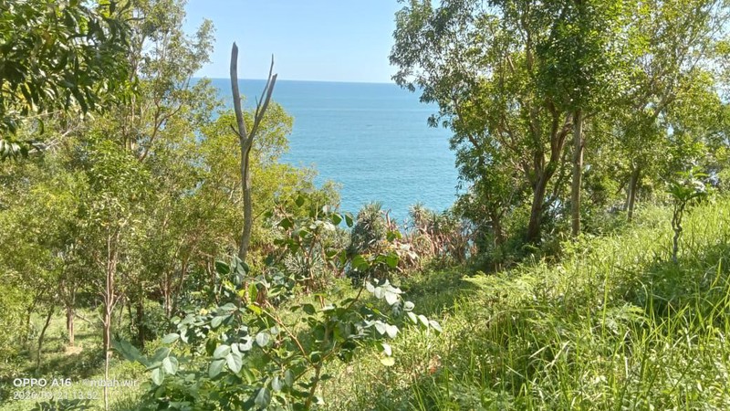 Dijual Tanah Tegalan Lokasi Strategis di Kawasan Wisata Tepus -  Gunung Kidul 