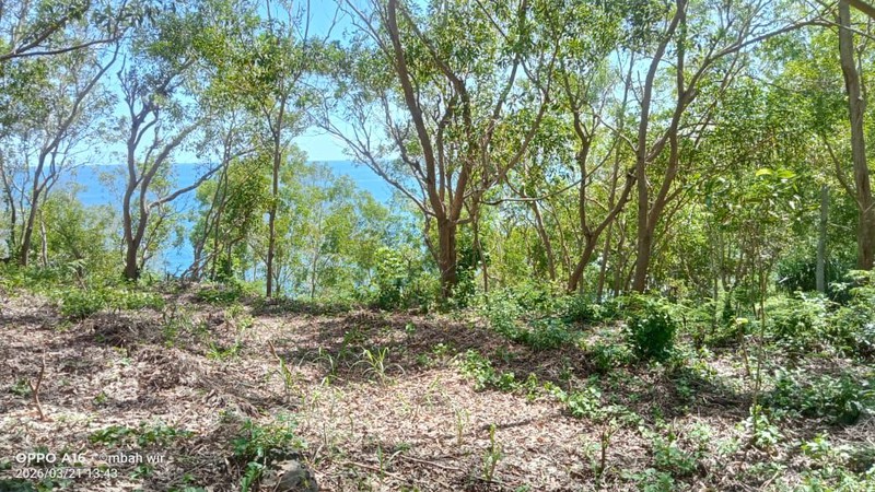 Dijual Tanah Tegalan Lokasi Strategis di Kawasan Wisata Tepus -  Gunung Kidul 