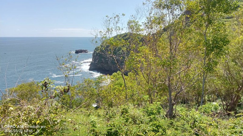 Dijual Tanah Tegalan Lokasi Strategis di Kawasan Wisata Tepus -  Gunung Kidul 